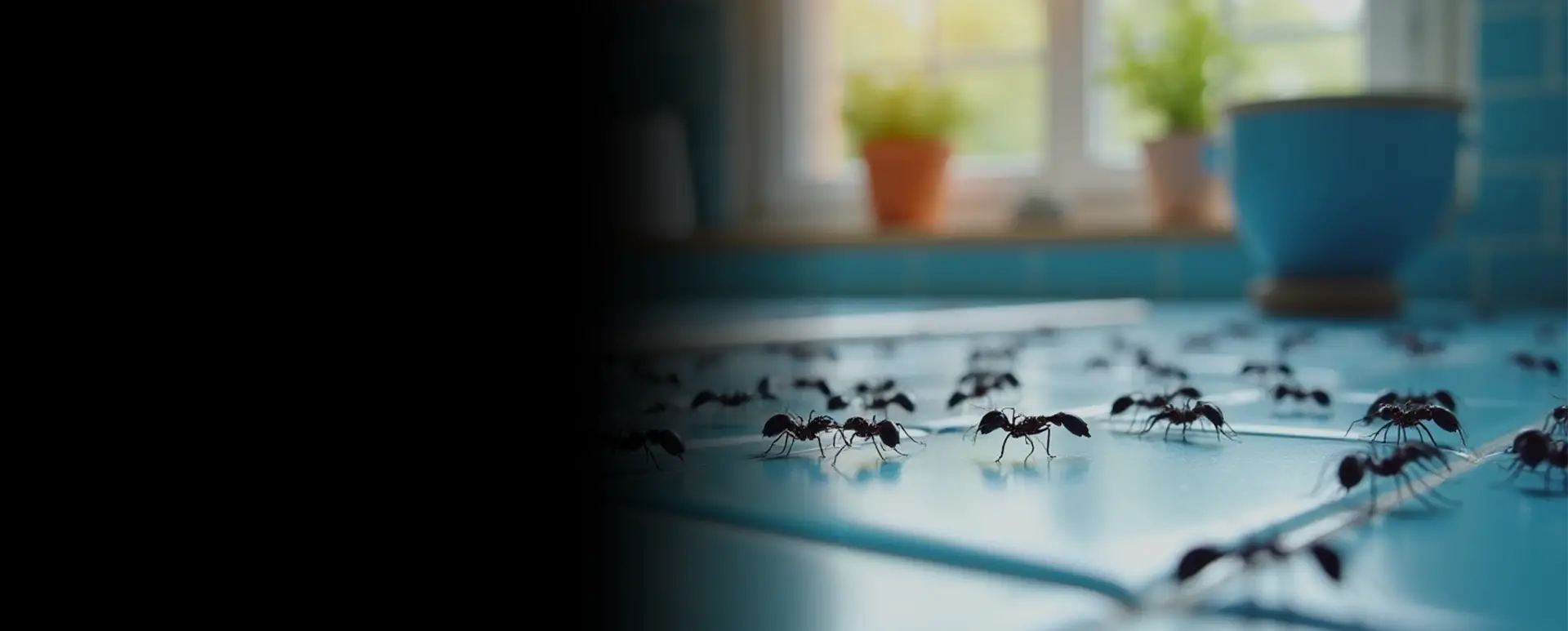 Deep South - Pest Control You Can Trust. Results You Can See. Deep South - Pest Control You Can Trust. Results You Can See.