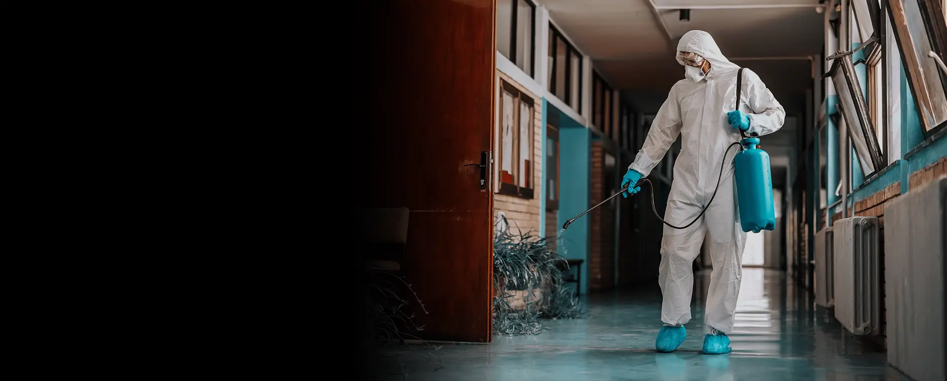 Deep South -Pest Control Covering the Southern Cape Region Deep South -Pest Control Covering the Southern Cape Region